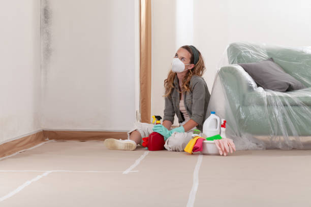 Reliable Commercial Mold Remediation contractor in Windsor, VA by WQB Mold Removal