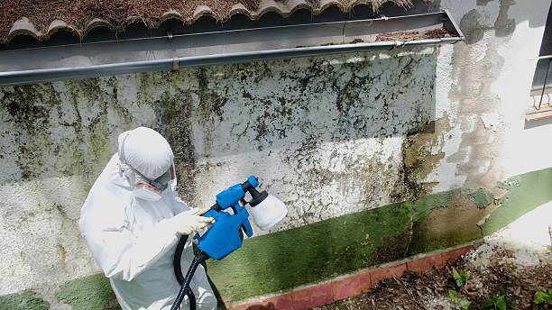 Top rated local Commercial Mold Remediation specialists in Windsor, VA